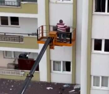 Read more about the article Devoted Owner Hires Crane To Save Trapped Parrot From Tower Block
