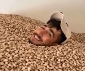 Shell Shocker As Man Hurls Himself Into Two Tonnes Of Peanuts