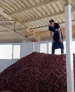 Read more about the article Three Tonnes Of Apricots Destroyed After Warehouse Worker Trod On Them